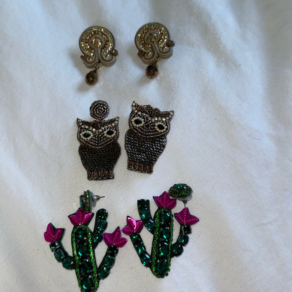 Earrings